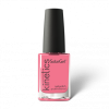 Kinetics Lak za nokte 15 ml #678 FANTASY